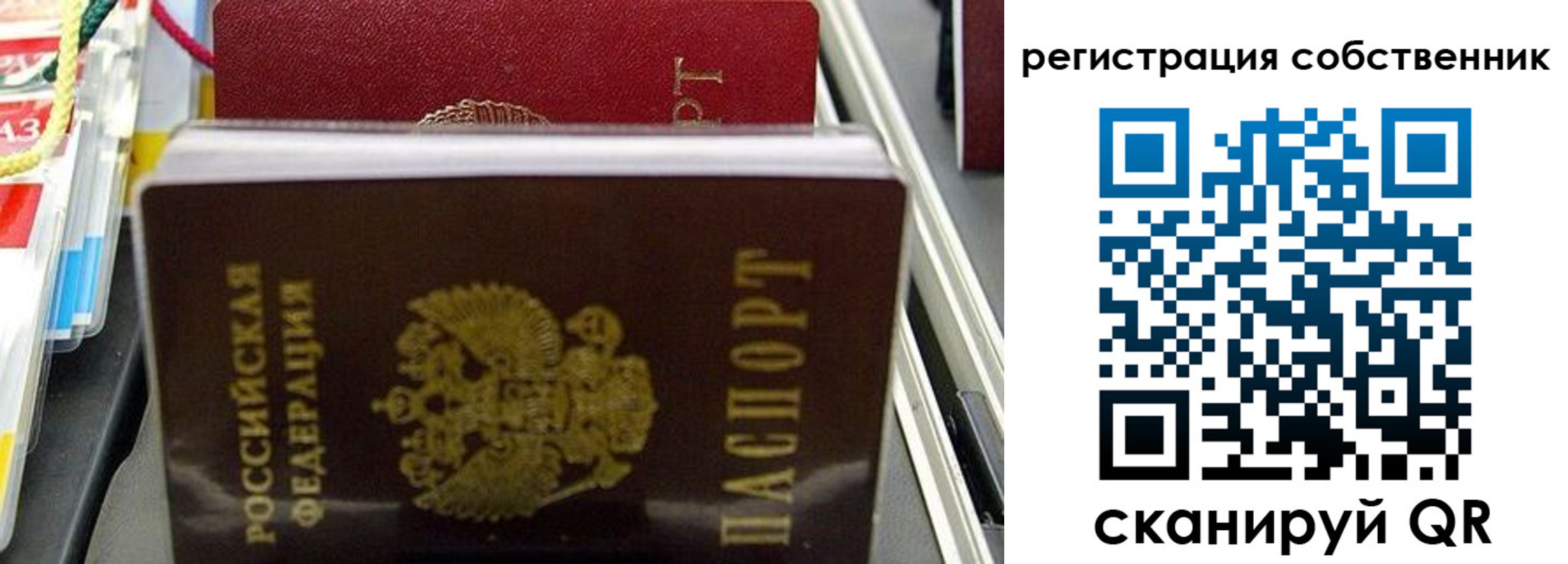временная регистрация поиск в Балтийске